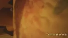 播放 自酿椰子