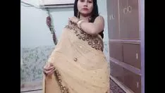 চালান শেরীনভাবীর শাড়ি ড্রপিঙ্ক