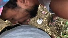 تشغيل 259 قمنا بتأسيس هدف آخر في الخشب لعمل تسجيلات فيديو