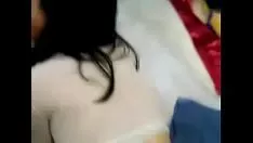 Oynat Cins arjantin havlayanı