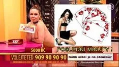Играть Стиль-тв 120107 хот-выхра-тестушер