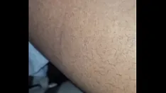 تشغيل حشو الديك الرومي في الليلة السابقة لعيد الشكر
