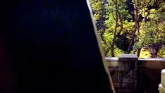Olivia Zachary Taylor Dudley