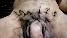 Oynat os haie 123 Pilusstyal